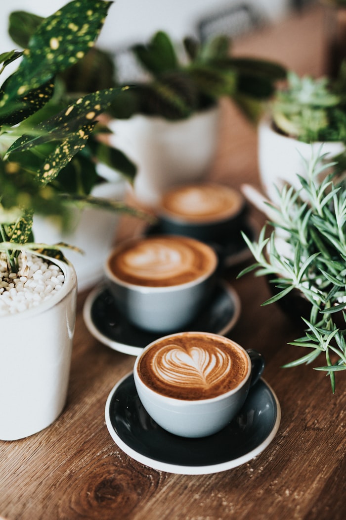 Capuchinos con latte art servidos entre plantas sobre mesa de madera