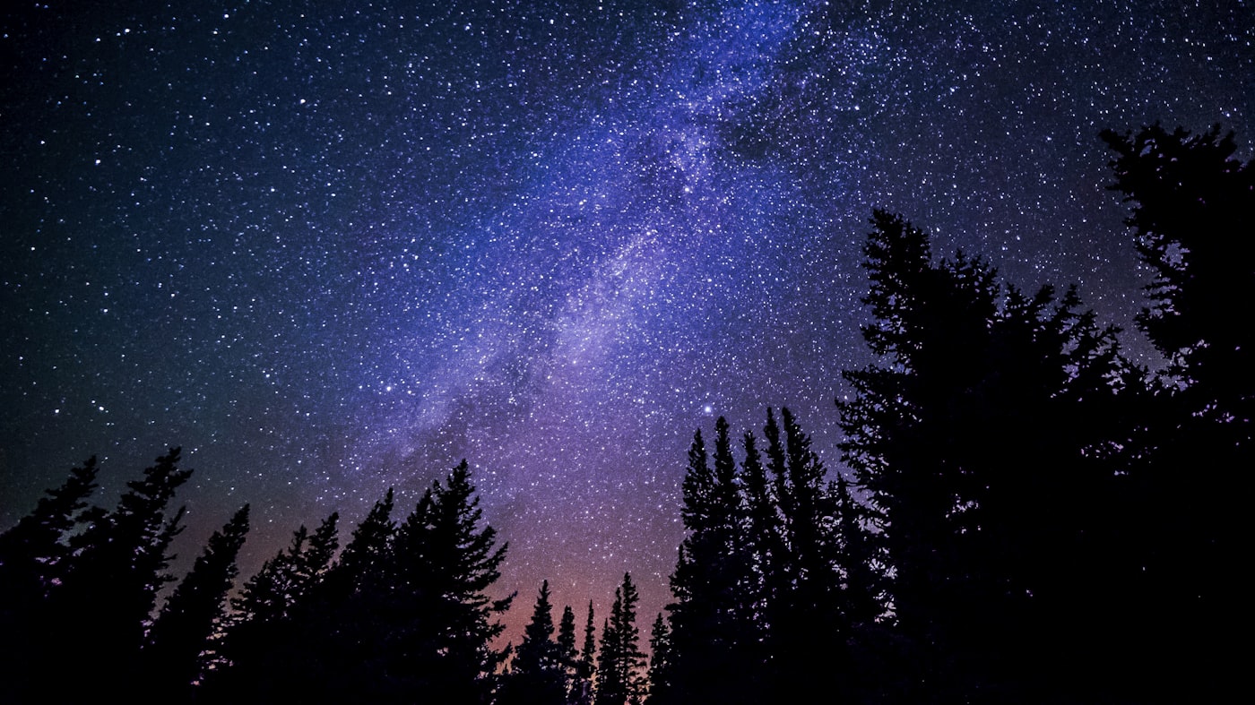 Cielo nocturno cuajado de estrellas sobre las siluetas de los árboles
